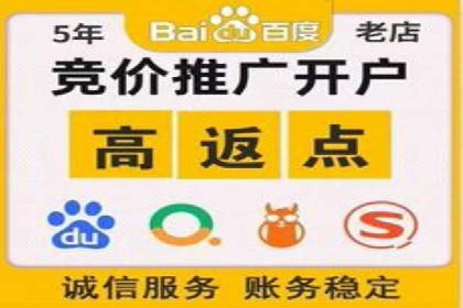 sem竞价托管代运营——广告优化的典范案例